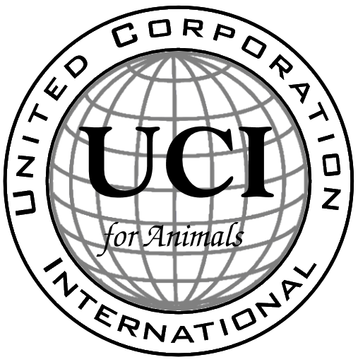 UCI – United Canine International